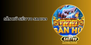 san hu sieu to sao789 1